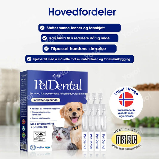 [Offisiell Nettbutikk] 🇳🇴Yovot® Tann- og fordøyelseshelse for kjæledyr Oral løsning – Frisker opp ånden, fjerner tannstein, fremmer tannkjøttsregenerasjon og stabiliserer tennene (for katter og hunder) – Spar 70% i dag!