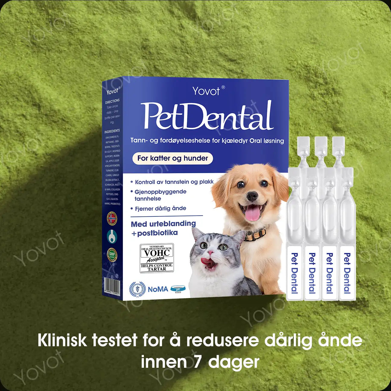 [Offisiell Nettbutikk] 🇳🇴Yovot® Tann- og fordøyelseshelse for kjæledyr Oral løsning – Frisker opp ånden, fjerner tannstein, fremmer tannkjøttsregenerasjon og stabiliserer tennene (for katter og hunder) – Spar 70% i dag!