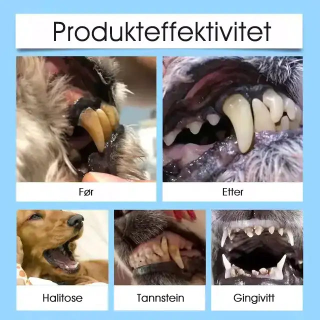 [Offisiell Nettbutikk] 🇳🇴Yovot® Tann- og fordøyelseshelse for kjæledyr Oral løsning – Frisker opp ånden, fjerner tannstein, fremmer tannkjøttsregenerasjon og stabiliserer tennene (for katter og hunder) – Spar 70% i dag!